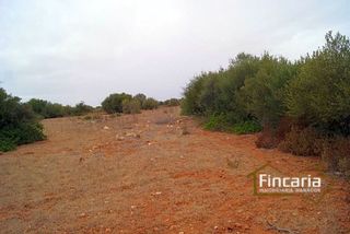 Terreno en venta en Manacor Centro en Manacor