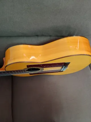 Guitarra Flamenca Amplificada