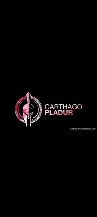 Se necesita trabajador d pladur oficial .