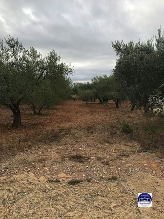 Solar en venta en Matadepera