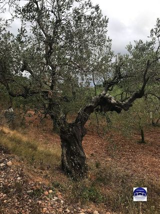 Solar en venta en Matadepera