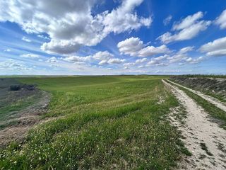 Terreno en venta en Casarrubios del Monte pueblo en Casarrubios del Monte