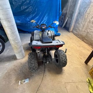 Quad 350cc Todoterreno