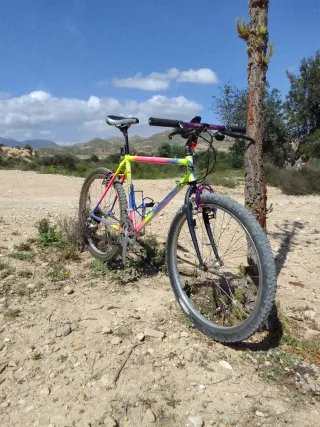 Bicicleta Mendiz Montaña