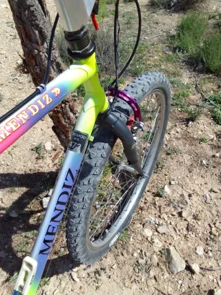 Bicicleta Mendiz Montaña