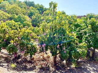 Chalet en venta en Chilches – Cajiz en Vélez-Málaga