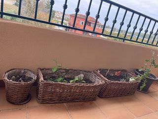 10 Maceteros de mimbre (10 Unidades)