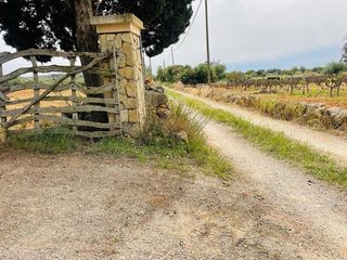 Casa rural en alquiler en Felanitx