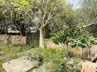 Casa rural en alquiler en Felanitx