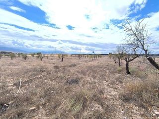 Casa en venta en Yecla
