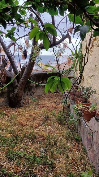 Chalet en venta en Santa Cruz de la Palma