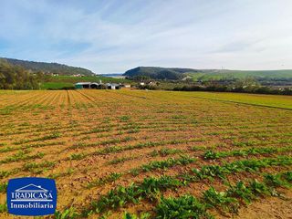 Casa rural en venta en Arcos de la Frontera