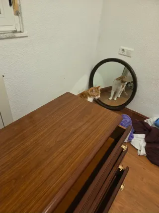 Cómoda de madera marrón con 3 cajones