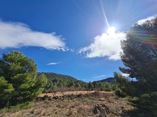 Terreno en venta en Pinós