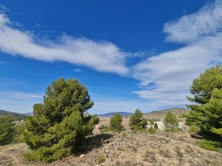 Terreno en venta en Pinós