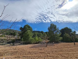 Terreno en venta en Pinós