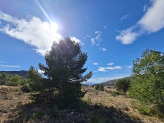 Terreno en venta en Pinós