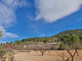 Terreno en venta en Pinós