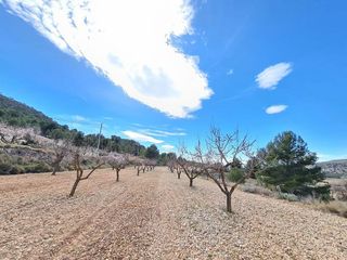 Terreno en venta en Pinós