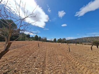 Terreno en venta en Pinós
