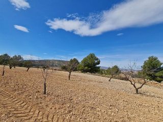 Terreno en venta en Pinós