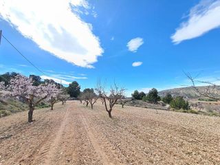 Terreno en venta en Pinós