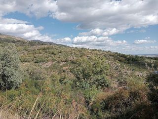 Terreno en venta en Miraflores de la Sierra