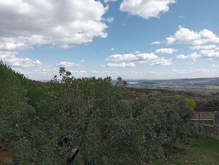 Terreno en venta en Miraflores de la Sierra