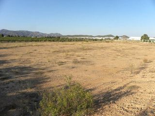 Terreno en venta en Caravaca de la Cruz