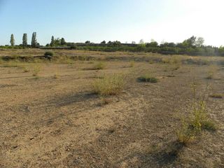 Terreno en venta en Caravaca de la Cruz