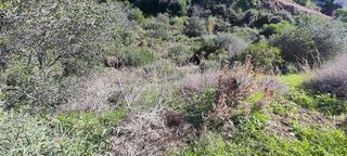 Terreno en venta en Elviria en Marbella