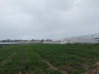 Terreno en venta en Centro - Norte en Chipiona