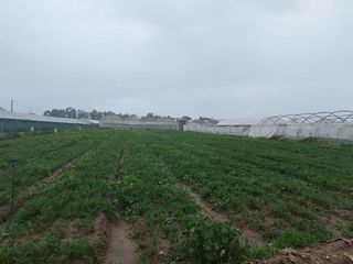 Terreno en venta en Centro - Norte en Chipiona