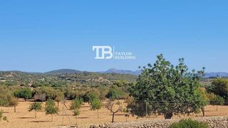 Terreno en venta en Manacor Centro en Manacor