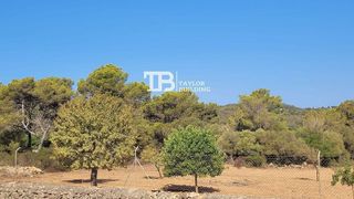 Terreno en venta en Manacor Centro en Manacor