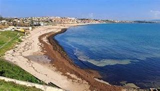 Terreno en venta en San García en Algeciras