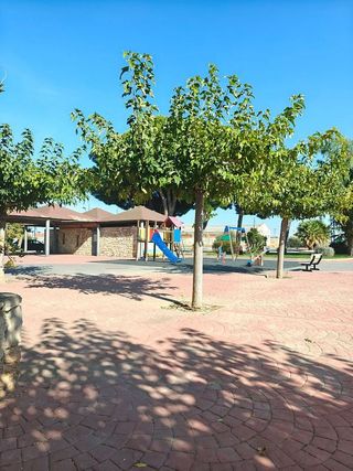 Terreno en venta en Muela (La)