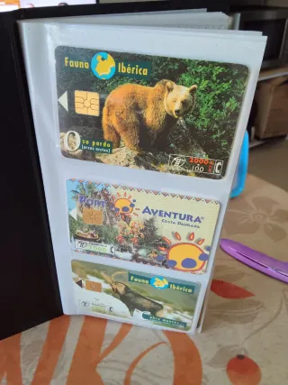 Carte telefoniche: Perdiguero de Burgos e Talgo