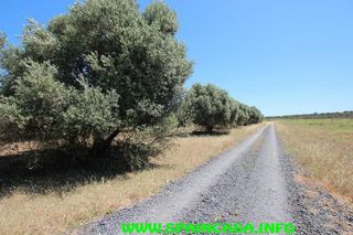 Terreno en venta en Aljaraque
