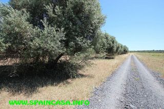 Terreno en venta en Aljaraque