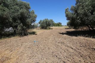 Terreno en venta en Aljaraque