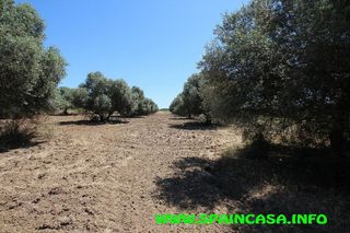 Terreno en venta en Aljaraque