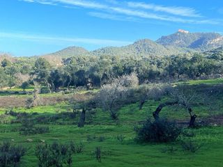 Terreno en venta en Felanitx