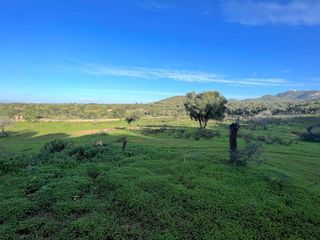 Terreno en venta en Felanitx