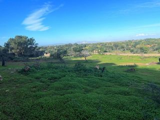 Terreno en venta en Felanitx