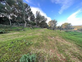 Terreno en venta en Felanitx