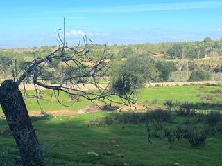 Terreno en venta en Felanitx