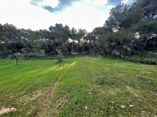 Terreno en venta en Felanitx