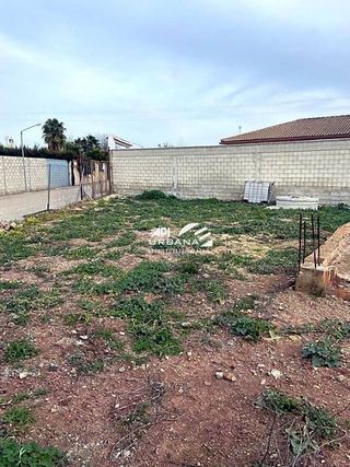 Terreno en venta en Cabra
