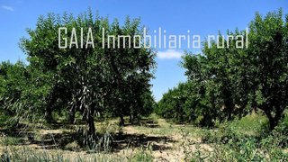 Casa rural en venta en Caspe